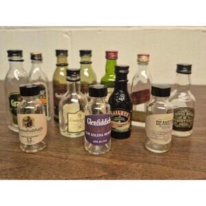 Miniature Liquor Bottle Collection - Assorted Brands - 12 pc.